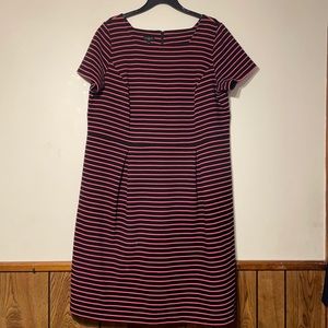 Talbots plus Size Midi Dress